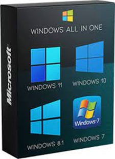 All windows