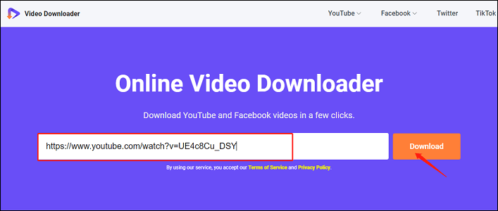 Internet Video Downloader download