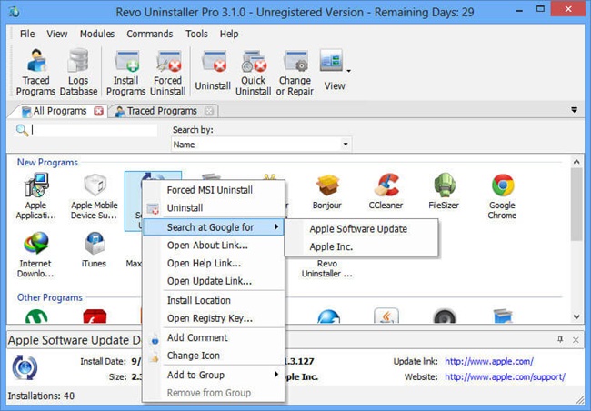 Revo Uninstaller Pro download