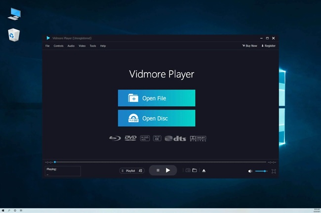 vidmore player download