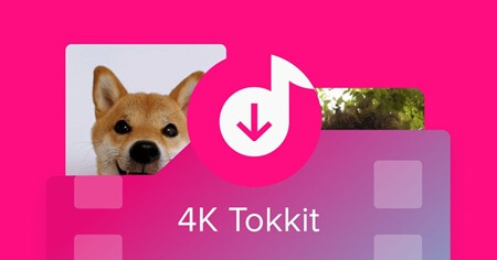 4K Tokkit crack